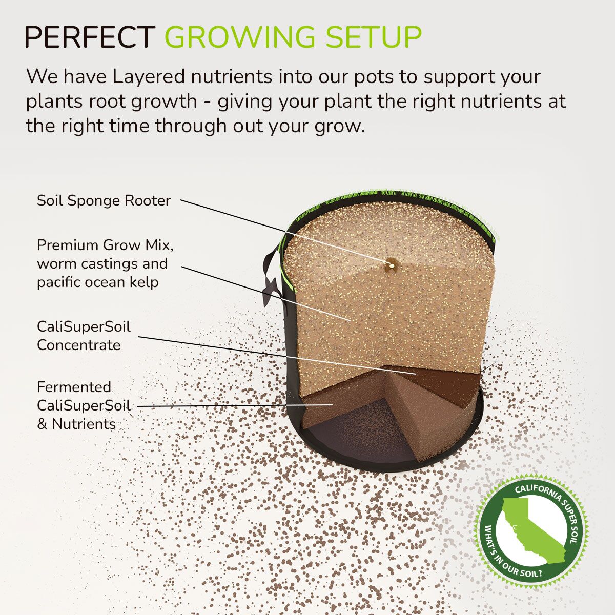 Perfect Growing Setup