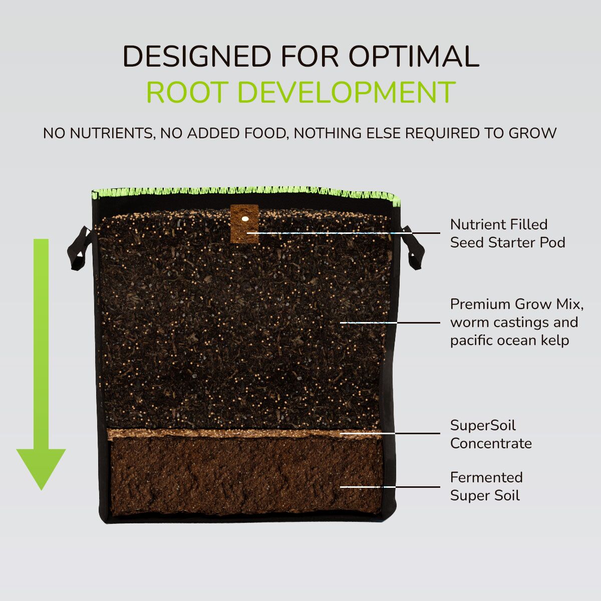 Designed for optimal root development
