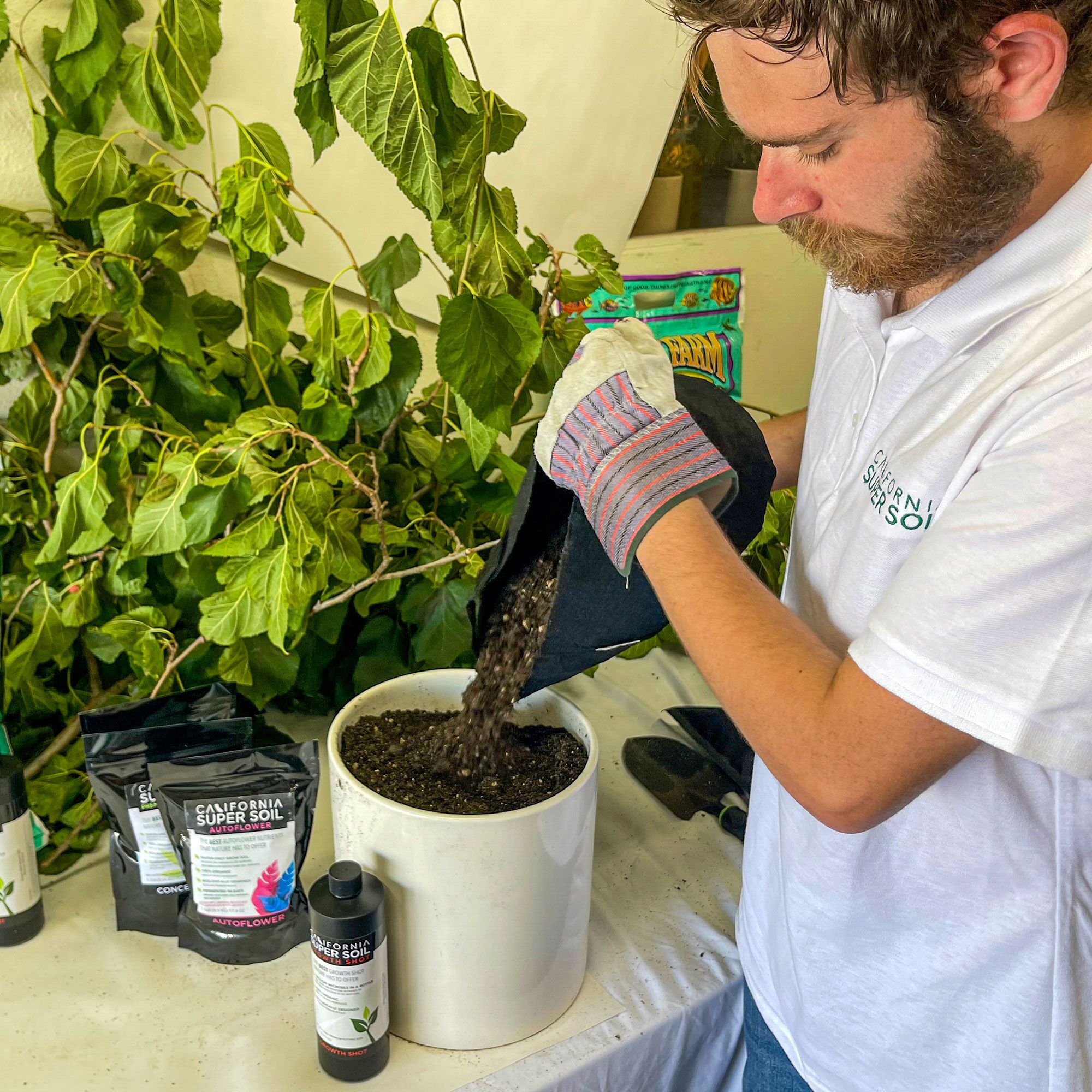 California Super Soil