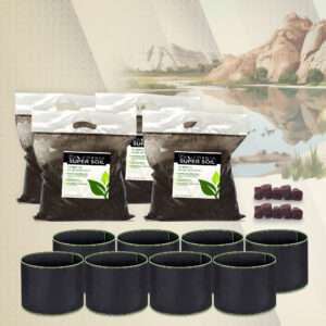 California Super Soil Large Kit