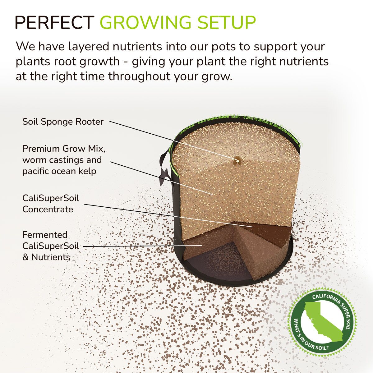 Perfect Growing Setup