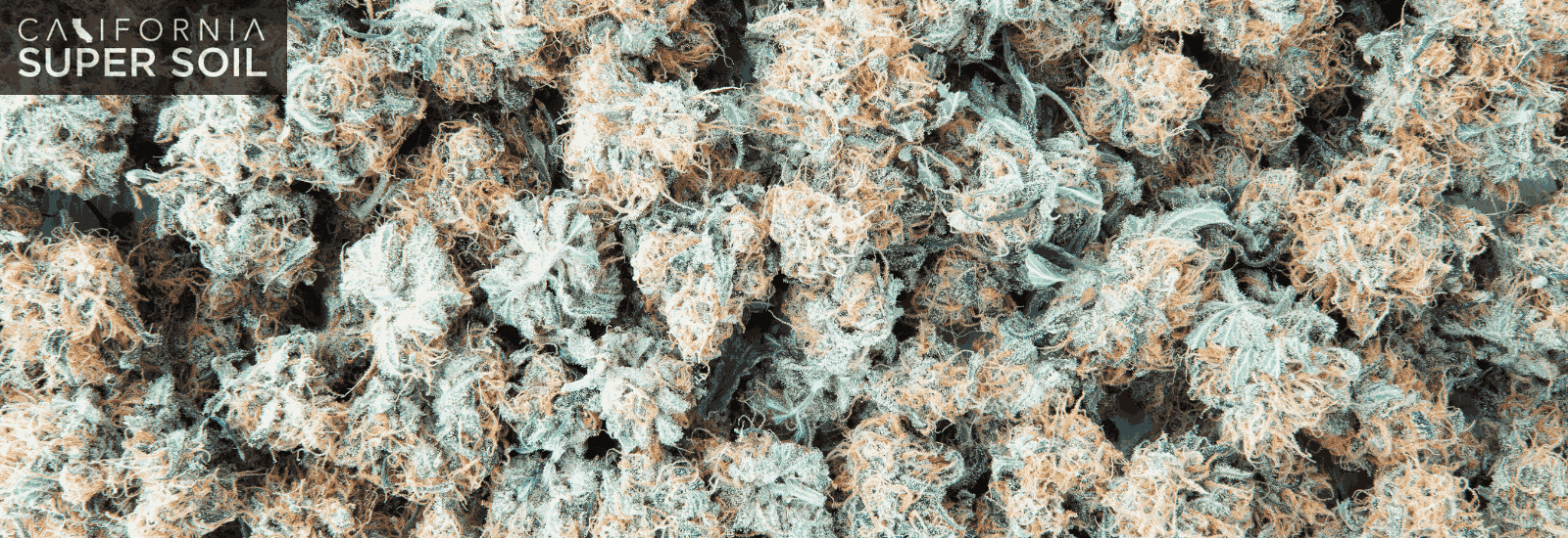 End Molding in Grow Room