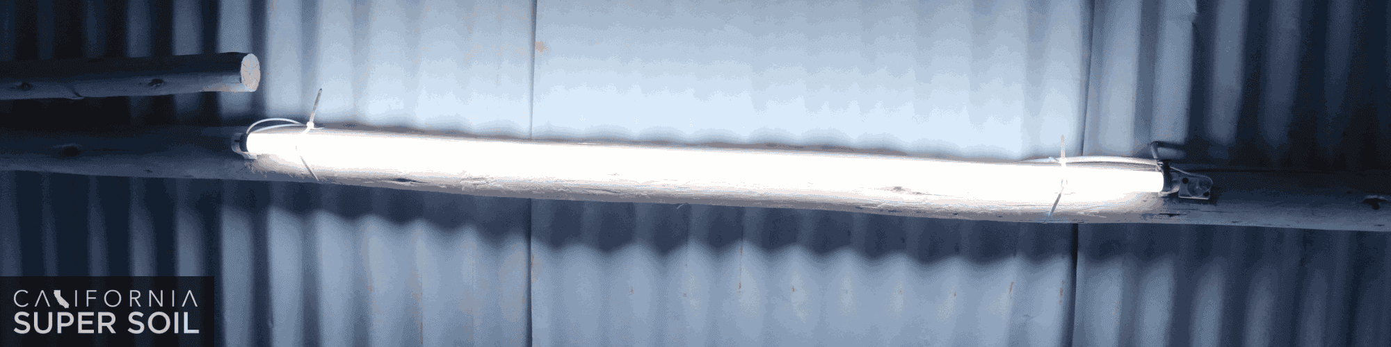 How to Use Compact Fluorescent Lights for Growing Plants