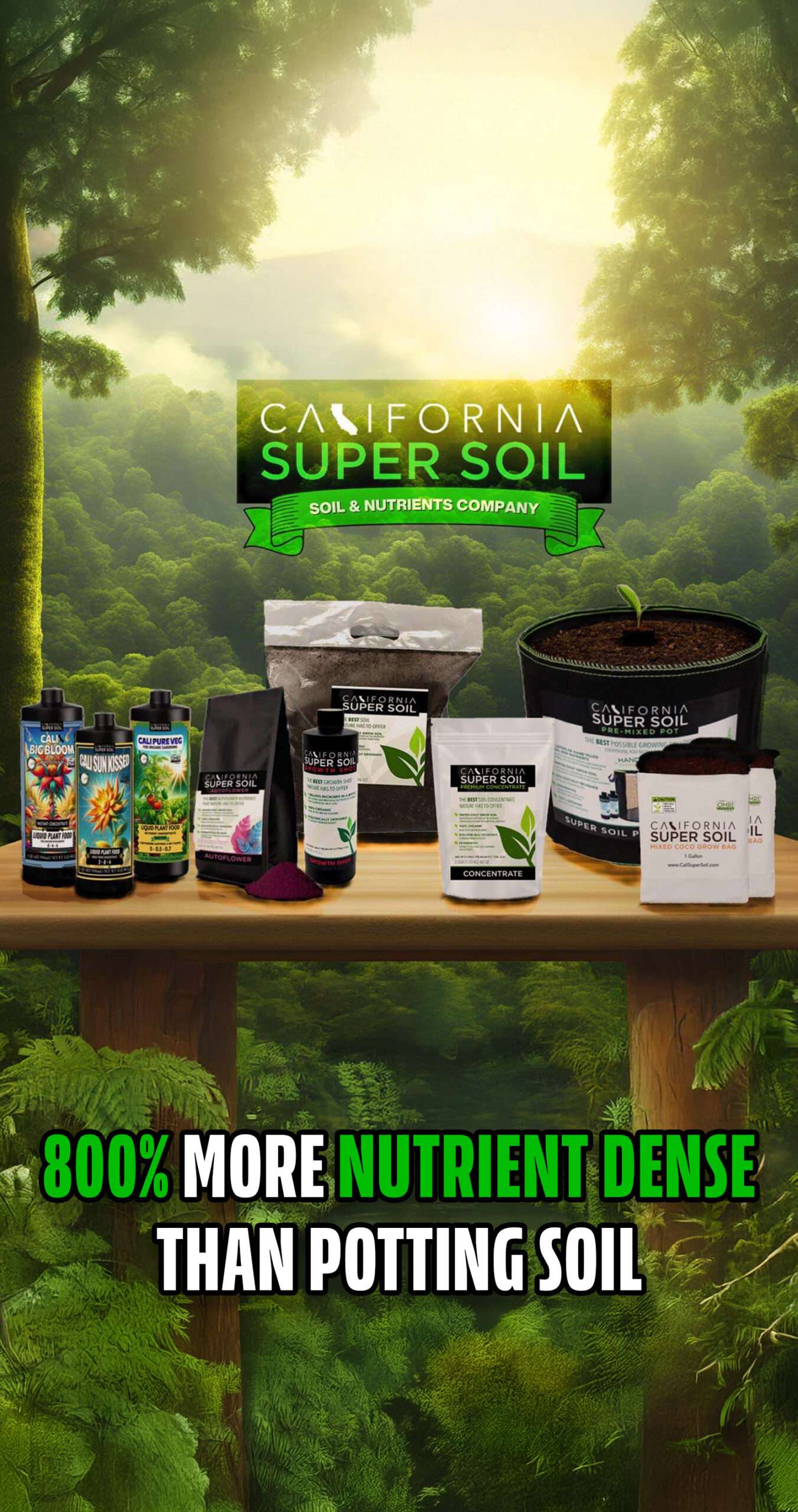 800% More Nutrient Dense Than Potting Soil