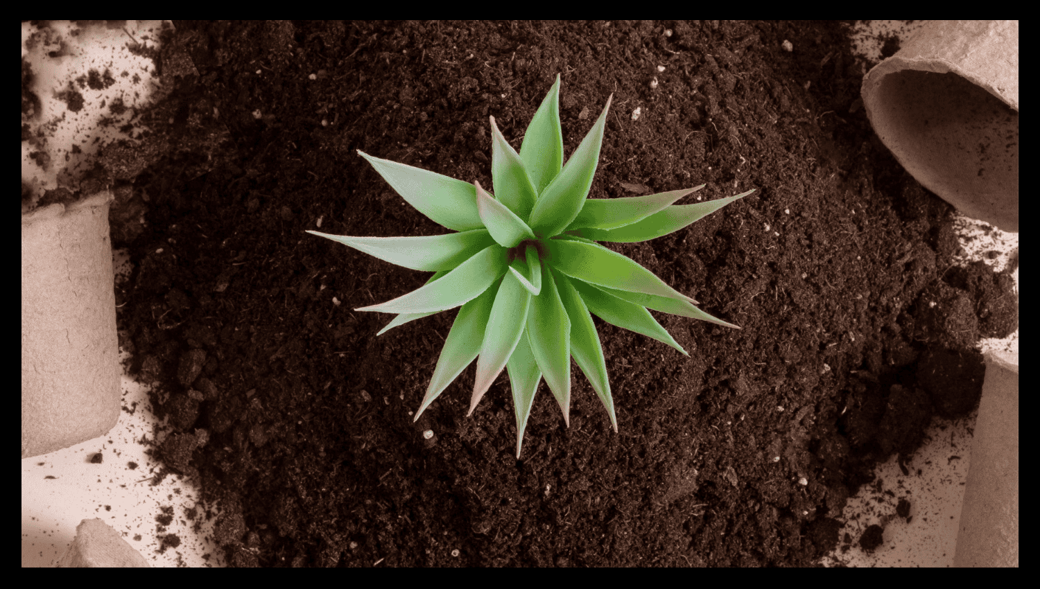 Types of Dolomite Lime